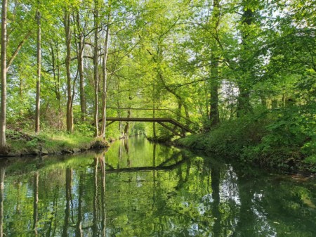 Impressionen vom Wahlkreis 64 - Cottbus und Spree-Neiße
